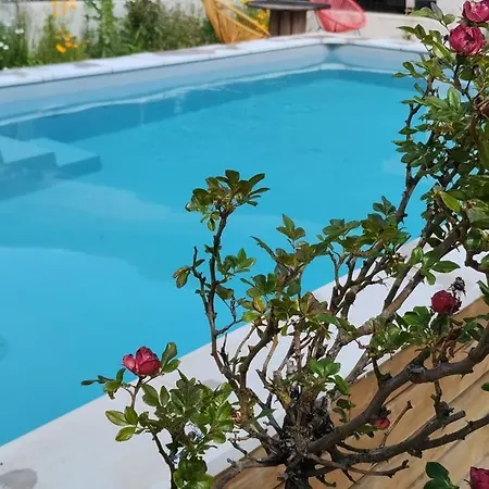 Le Pommier Appartement